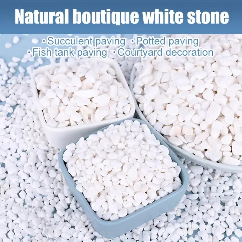 1L High-Quality Perlite Succul - Pet Beds review and price
