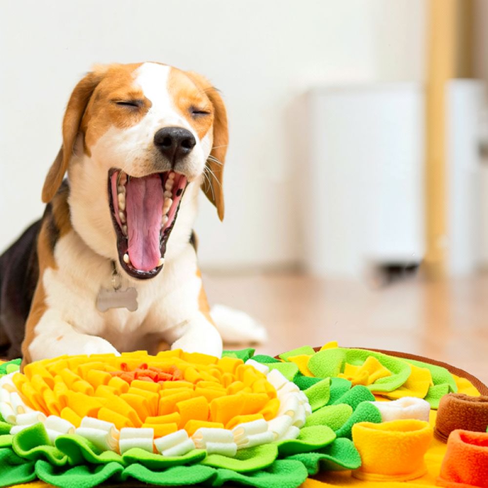 Dog Snuffle Mat Bone Design Pe - Dog Puzzle Feeder Toy review and price