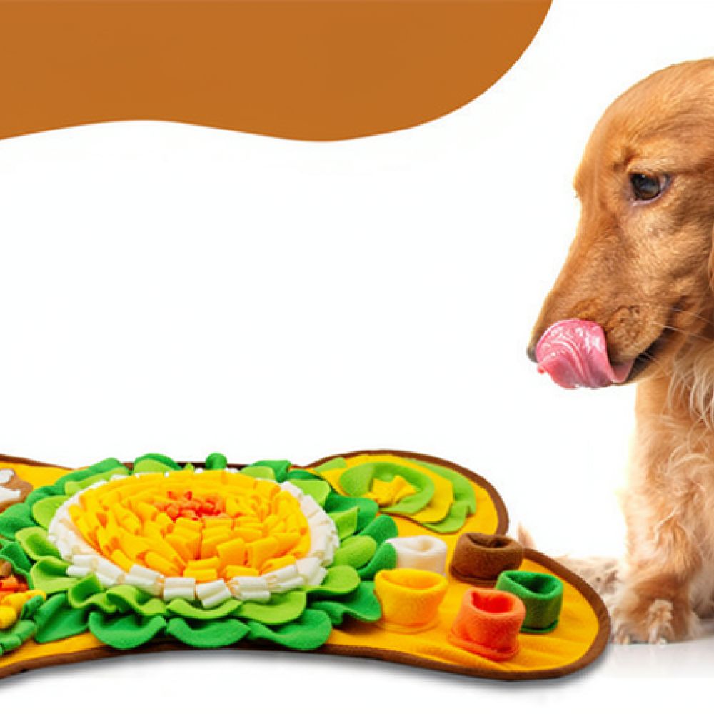 Dog Snuffle Mat Bone Design Pe - Dog Puzzle Feeder Toy review and price